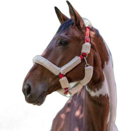 Produktbild von Gepolstertes Halfter Norton