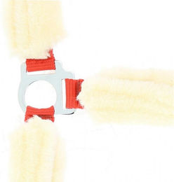 Produktbild von Gepolstertes Halfter Norton