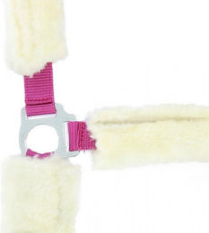 Produktbild von Gepolstertes Halfter Norton