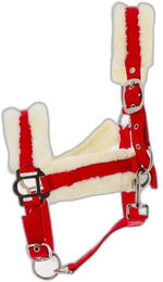 Produktbild von Gepolstertes Halfter Norton Comfort