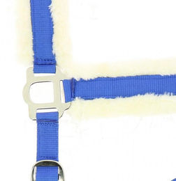 Produktbild von Gepolstertes Halfter Norton Comfort