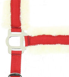 Produktbild von Gepolstertes Halfter Norton Comfort