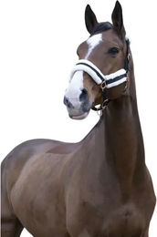 Produktbild von Gepolstertes Halfter Norton Comfort