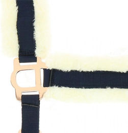 Produktbild von Gepolstertes Halfter Norton Comfort