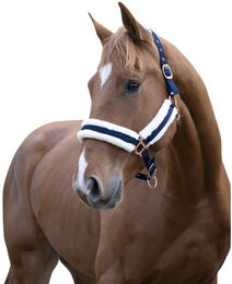 Produktbild von Gepolstertes Halfter Norton Comfort