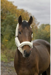 Produktbild von Gepolstertes Halfter Norton