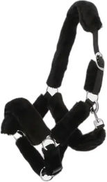 Produktbild von Gepolstertes Halfter Norton Warmblut