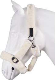 Produktbild von Gepolstertes Halfter Schutz Horka