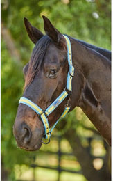 Produktbild von Gepolstertes Pferdehalfter aus Nylon Weatherbeeta