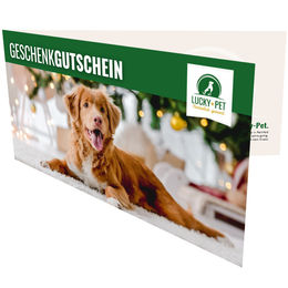Produktbild von Geschenkgutschein 10 € – 100 €