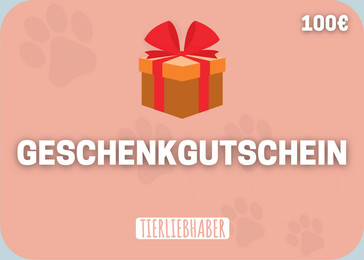 Produktbild von Geschenkgutschein 100 Euro - 100 Stk.