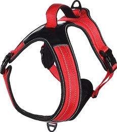 Geschirr Toga Rot M 63-80 cm – Bild 1 von 7