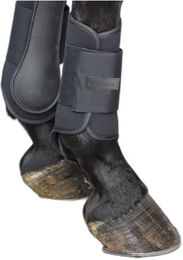 Geschlossene Gamaschen aus Neopren, Hinterteil Kavalkade Softy – Bild 1 von 2