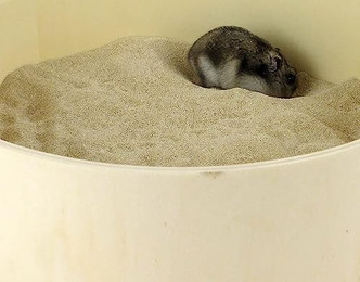 Produktbild von Getzoo Badesand Chinchilla Sand - 2 kg