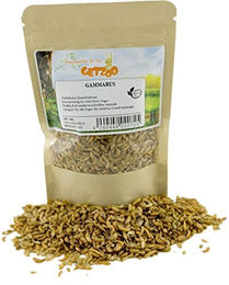 Produktbild von Getzoo Gammarus getrocknet - 25 g