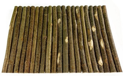 Produktbild von Getzoo Haselnussbrücke Nagerbrücke