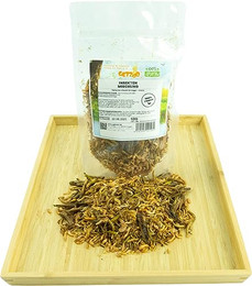 Produktbild von Getzoo Insektenmischung für Nager - 50 g