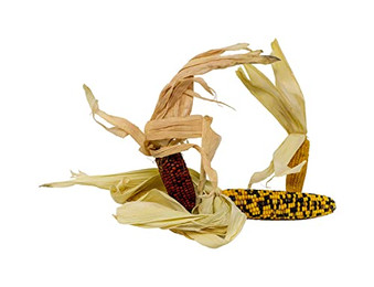 Produktbild von Getzoo Maispalmen Mix - getrocknet (3 Stück)