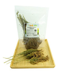 Produktbild von Getzoo Rispenhirse rot getrocknet