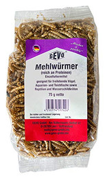Produktbild von GEVO Mehlwürmer getrocknet - 75 g