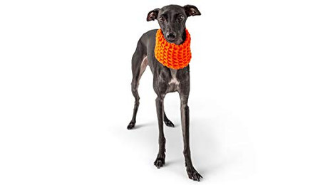 Produktbild von GF Pet Scout Schlauchschal orange L - 140 g