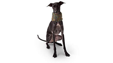 Produktbild von GF Pet SCOUT Schlauchschal S Navy - 50 g