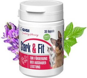 Produktbild von GIGI VET Stark & Fit 30x22 g