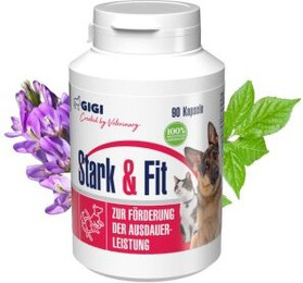 Produktbild von GIGI VET Stark & Fit 90x65 g