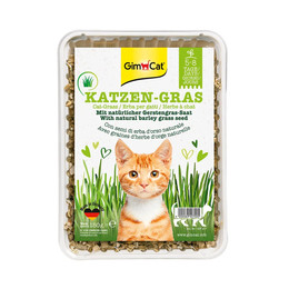 Produktbild von GimCat Katzengras - 150 g