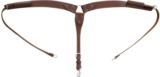 Produktbild von Glattes Jagdhalsband Pool's Buckaroo
