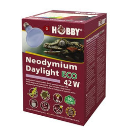 Produktbild von Glühbirne Hobby Neodymium Daylight Eco
