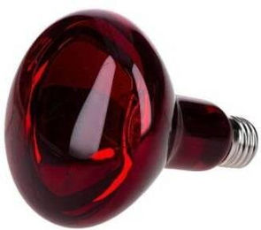 Produktbild von Glühbirne Reptiles Planet Infrared 50 W