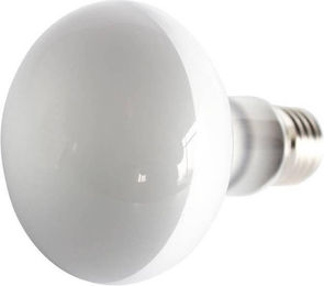 Produktbild von Glühbirne Reptiles Planet Repti UVA