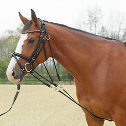 Gogue BASIC Hilszügel aus Leder - 1 Stk. – Bild 1 von 2