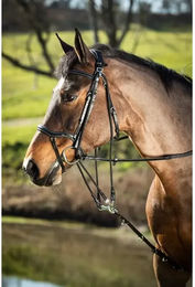 Produktbild von Gogue für Pferde HFI