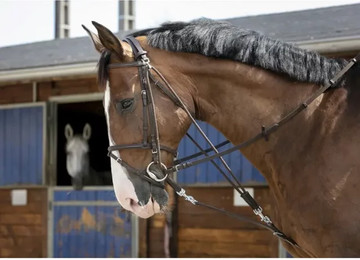 Produktbild von Gogue für Pferde Riding World