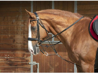 Produktbild von Gogue Norton Pro