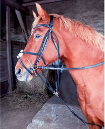 Produktbild von Gogue T de T 02