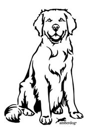 Produktbild von Golden Retriever Grafiklizenz