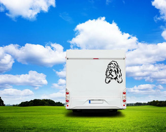 Produktbild von Grand Basset Griffon Kopf Auto Wohnmobil Aufkleber