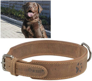 Greenburry Hunde-Halsband "Vintage" Leder antikbraun, Rindleder, Halsband Hunde, 41-48cm, doppellagig, innen umgeschlagende Kante – Bild 1 von 5