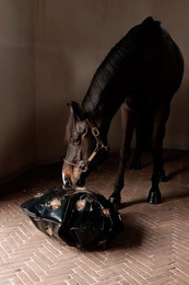 Produktbild von Grooming Deluxe Heutasche Play & Slowfeeder Rund