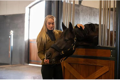 Produktbild von Großes Pferdehalfter Catago FIR-Tech