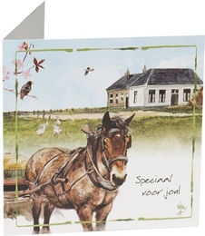 Produktbild von Grußkarte Pferde Horka