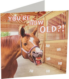 Produktbild von Grußkarte Pferde Horka