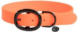 Produktbild von Gummihalsband für Hunde Kentucky