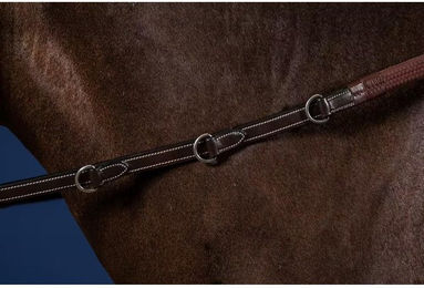 Produktbild von Gummizügel für Kaltblüter mit 7 Stoppern Dy'on Howlett 3 D