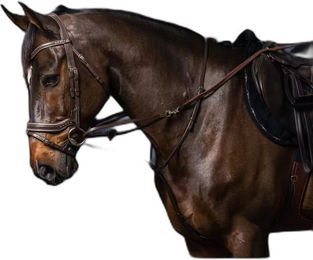 Produktbild von Gummizügel für Pony mit 7 Stoppern Dy'on Howlett