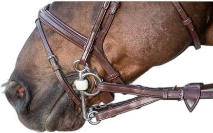 Produktbild von Gummizügel für Ponys mit 7 Stoppern Dy'on