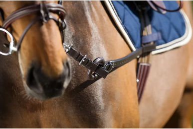 Produktbild von Gummizügel HFI